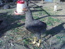 100409071_MDUWXKD3