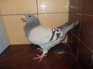 DSCN8410