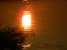 DSCN2433