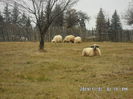 SAM_0079