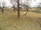 SAM_0094