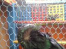 2014-10-31 14.56.50
