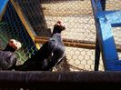 2014-10-08 11.09.44