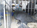DSCN0240