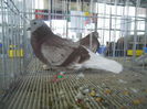 DSCN0242