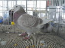 DSCN0245