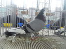 DSCN0247