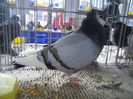 DSCN0251