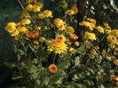 DSC00746