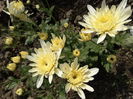 DSC00800