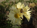 DSC00803
