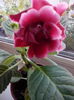 IMG_20141102_163206