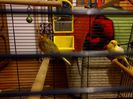 IMG_20141102_202545