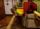 IMG_20141102_202601