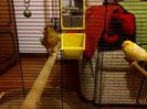 IMG_20141102_202615