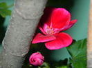 DSCN2368
