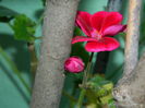 DSCN2369