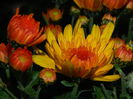 DSCN2370