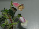 DSCN2376
