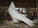 DSCN7085