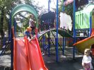 WP_002496