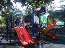 WP_002503