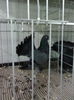 IMG_20141019_120033