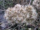 IMG_20141029_114020