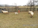 SAM_0106