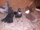 IMG_20141103_105624