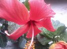 20141030_105017