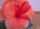 20141031_141154