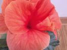 20141031_141157