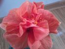 20141031_141226