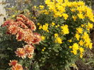 DSC00806