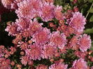 DSC00808