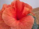20141031_140823
