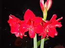 DSC02152