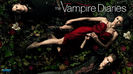 The Vampire Diaries (2009-present) vazut de hindifans