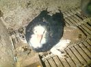 IMG-20141026-01111