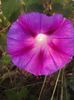 20141004_173926
