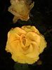 20141019_174111
