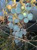 20141019_175742