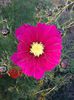 Copy of 20141019_173911