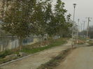 DSCN2490
