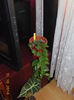 DSC05665