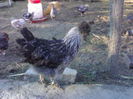 98838413_OAYGODF