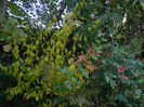 DSCN2550