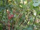 DSCN2559