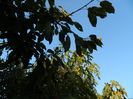 DSCN2560